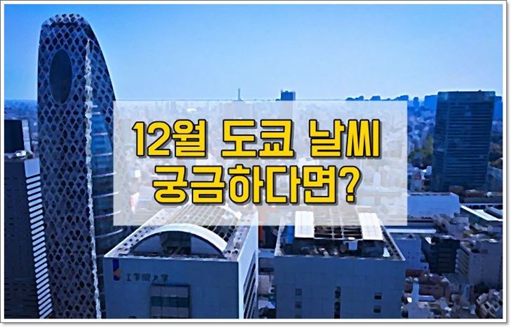 12월,도쿄,날씨,축제,옷차림,기온